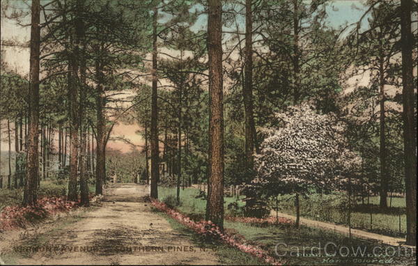 Wooded Avenue Southern Pines North Carolina