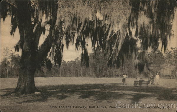 15th Tee and Fairway, Golf Links, Pine Forest Inn Summerville South Carolina