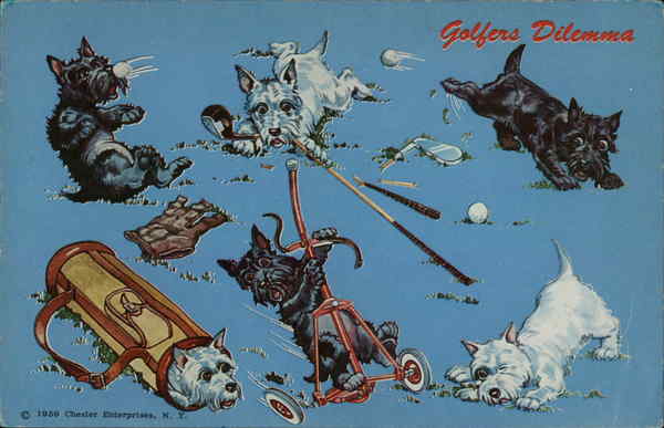 Golfers Dilemma - Scottish Terriers and Westies