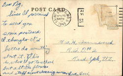 back