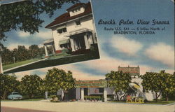 Brock's Palm View Groves Postcard