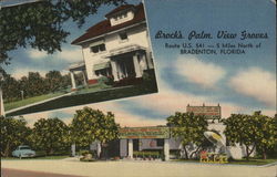 Brock's Palm View Groves Postcard