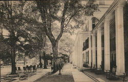 The Equinox House Postcard