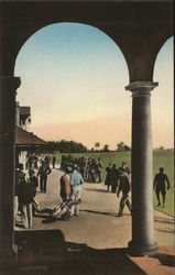 Golf Club Postcard