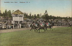 Sandhills Race Meet Pinehurst, NC Postcard Postcard Postcard