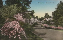 Springtime Springtime
