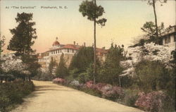 At the Carolina Hotel Postcard