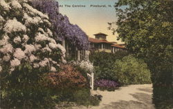 At the Carolina Postcard