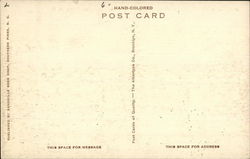 back