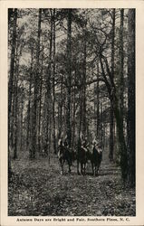 Autumn Days are Bright and Fair Southern Pines, NC Postcard Postcard Postcard