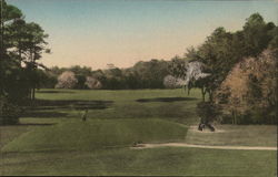 No. 1 Tee and Fairway Yeamans Hall Club Postcard