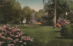 A Part of the Gardens, The Carolina Inn Summerville, SC Postcard Postcard Postcard