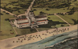 The Ocean Forest Hotel The Ocean Forest Hotel