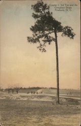 Course 1, 3rd Tee and the Chocolate Drops Postcard