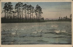 McKenzie's Pond Pinehurst, NC Postcard Postcard Postcard
