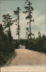 Entrance to Hedgerow estate Postcard