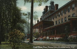 East View Pine Forest Inn East View Pine Forest Inn