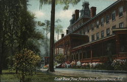 East View Pine Forest Inn Summerville, SC Postcard Postcard Postcard