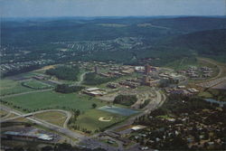 State University of New York Binghamton