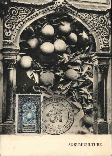 Agriculture Maximum Cards