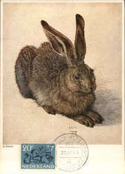 Brown Bunny Rabbit Maximum Cards
