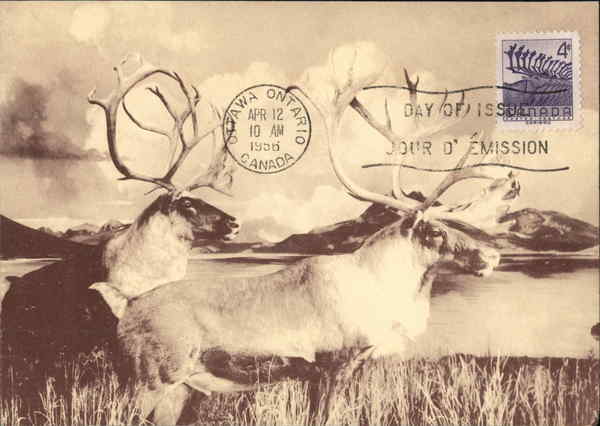 Barren Ground Caribou Maximum Cards