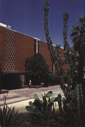 ASU Clean & Beautiful Tempe, AZ Postcard Postcard Postcard