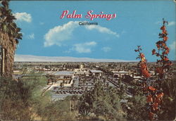Palm Springs, California Postcard Postcard Postcard