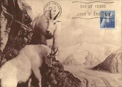 Rocky Mountain Goats Canada Maximum Cards Postcard Postcard Postcard