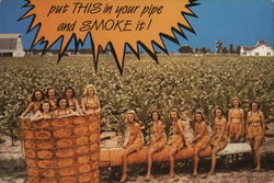 Put THIS in your pipe and SMOKE it! Tobacco