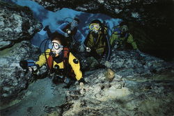 Ginnie Springs, Inc. High Springs Florida