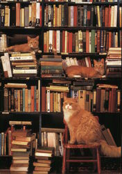 Cats at Work - Gotham Book Mart & Gallery