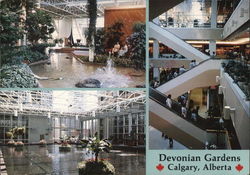 Devonian Gardens Calgary, AB Canada Alberta Postcard Postcard Postcard