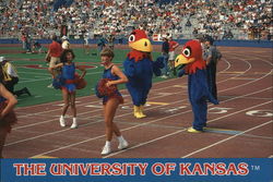 The Crimson Girls of the University of Kansas with Jayhawks Lawrence, KS Postcard Postcard Postcard