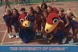 The University of Kansas Postcard