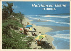 Hutchinson Island, Florida Postcard