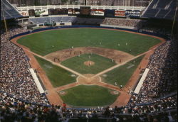 Yankee Stadium New York City, NY Postcard Postcard Postcard