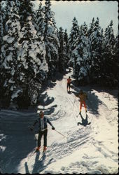 X-Country Ski Trails Lake Placid, NY Postcard Postcard Postcard