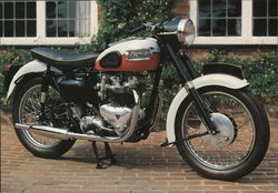Triumph Bonneville 650 cc Bickenhill, United Kingdom Motorcycles Postcard Postcard Postcard