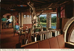 Aberdare National Park - Treetops Postcard