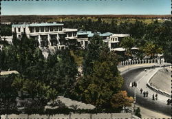 Mena House Hotel Postcard