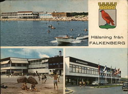 Greetings from Falkenberg Sweden Postcard Postcard Postcard