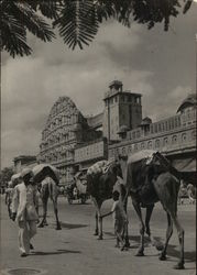 Hawa Mahal Jaipur, India Postcard Postcard Postcard