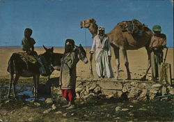 Bedouins near Water Well in the Negev Desert Israel Middle East Postcard Postcard Postcard