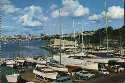 View of Marina Postcard