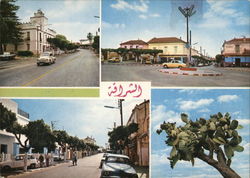 Algeria Postcard