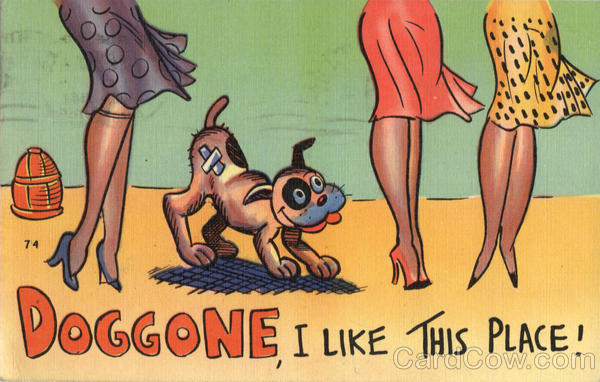 Doggone, I Like This Place! Comic, Funny