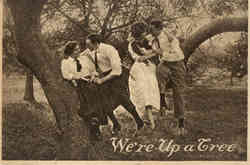 We're Up a Tree Romance & Love Postcard Postcard