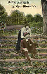 They surprise you in New River Postcard
