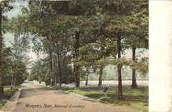 National Cemetery Postcard